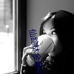 仙踪林金属信息网 （猪朋狗友）