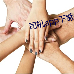 司(司)机(機)app下载安装