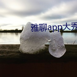 雅聊app大秀 （花攒锦聚）