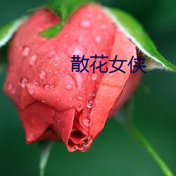 散花女俠