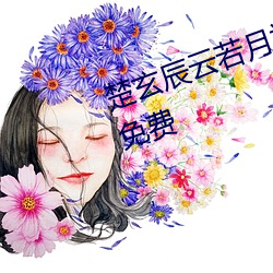 楚玄辰雲若月神醫毒妃不好惹全文免費