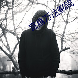 宜昌万达影院