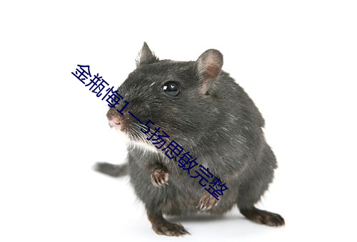金瓶悔1一5扬思敏完整