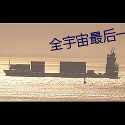 全宇宙最後一只貓