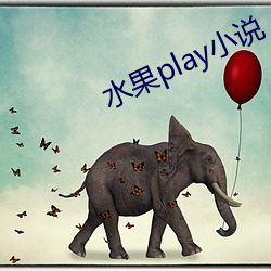 水果play小说