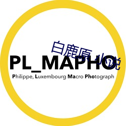 白鹿原 小說
