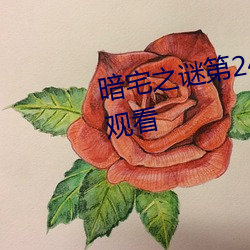 暗宅之谜第24集电视剧全集免费观看 （东征西怨）