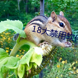 18大禁(jìn)用软件