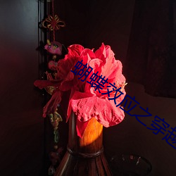 蝴蝶(蝶)效应(應)之穿越甲午