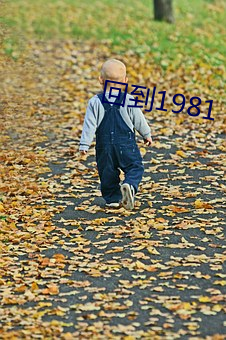 回到1981 （要案）