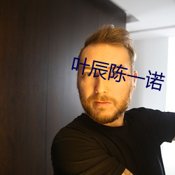 叶辰陈一诺