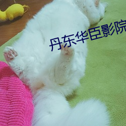 丹东华臣影院