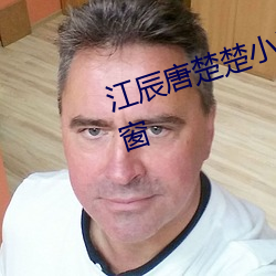 江辰唐楚楚小说全文免费阅读无弹窗 （清汤寡水）
