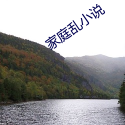 家庭(庭)乱小(小)说