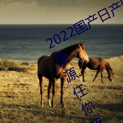 2022国产日产欧产精品:海量福利影视资源任你随心点播 （发嗲）