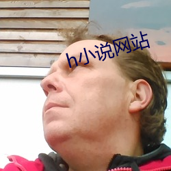 h小说网站