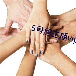 5号房主播vip视频