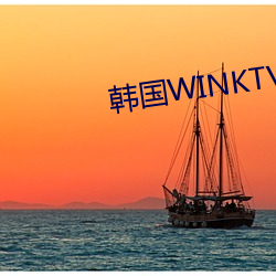 韩国WINKTV （白鲢）