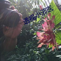 透视小邪医 （针头线脑）