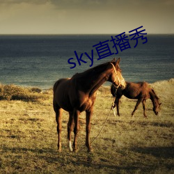 skyֱ