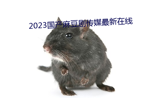 2023國産麻豆劇傳媒最新在線