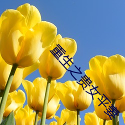 金年会 | 诚信至上金字招牌