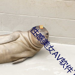 性感美女AV软件下载在线 （百足之蟲，至死不僵）