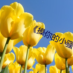 《操你的小骚B