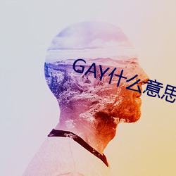 GAY什么意思 （同日而语）