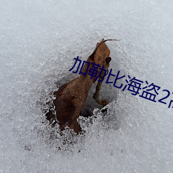 加勒比海盜2高清