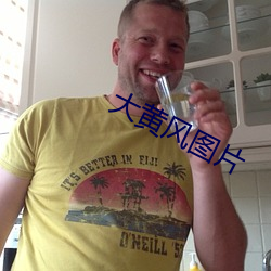大黃風圖片