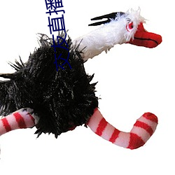 交友(yǒu)直播(bō)软件(jiàn)哪个好(hǎo)