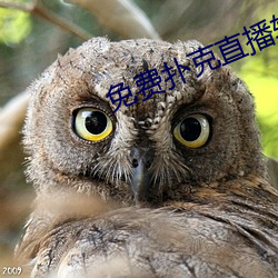(M)˿ֱ(ֱ)()(d)װ