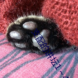 支(支)配(配)的讲(講)坛(壇)1～4