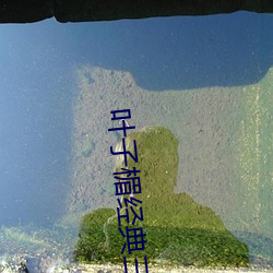 葉子楣經典三級無刪減版