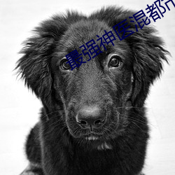 最強神醫混都市完整版免費閱讀
