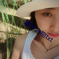 掌中之物txt