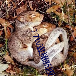 77tv直播新版本