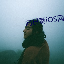 向日葵iOS網站重磅升級v1.75