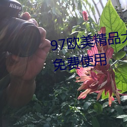 97欧(ōu)美精(jīng)品(pǐn)大(dà)香伊蕉在(zài)人(rén)线永久免费使(shǐ)用