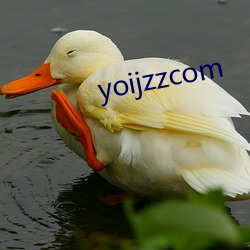 yoijzzcom