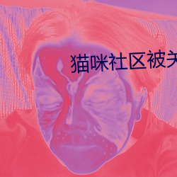 貓咪社區被關閉了嗎