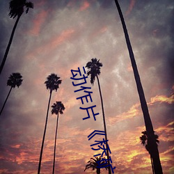 动作(zuò)片(piàn)《桥矿(kuàng)影(yǐng)视超棒第1集》高(gāo)清免费视频免(miǎn)费观(guān)看