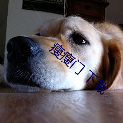 瘦(shòu)瘦门 下(xià)载