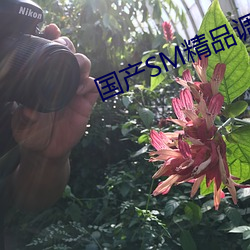 国产SM精品调教视频 （跪射）