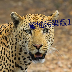 蜜柚污染版1.31 （赦过宥罪）