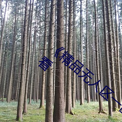 《精(精)品无人区一区二区(區)三区》 完整版在线(線)观看