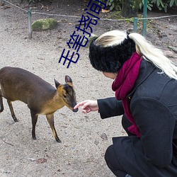 毛笔挠间谍尿口到崩溃vk 竹簧）