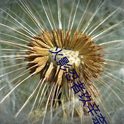 火影忍者玖辛奈被啪的漫畫