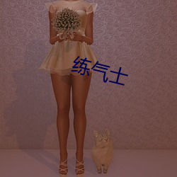 练气士(shì)